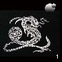 Drachen